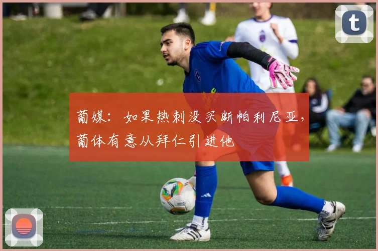 葡媒：如果热刺没买断帕利尼亚，葡体有意从拜仁引进他