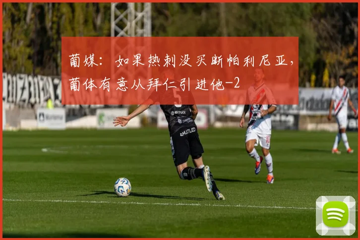 葡媒：如果热刺没买断帕利尼亚，葡体有意从拜仁引进他
