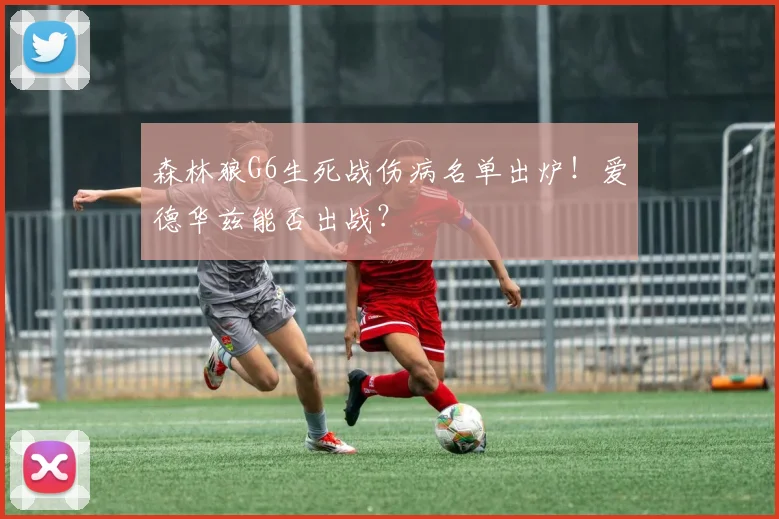 森林狼G6生死战伤病名单出炉！爱德华兹能否出战？