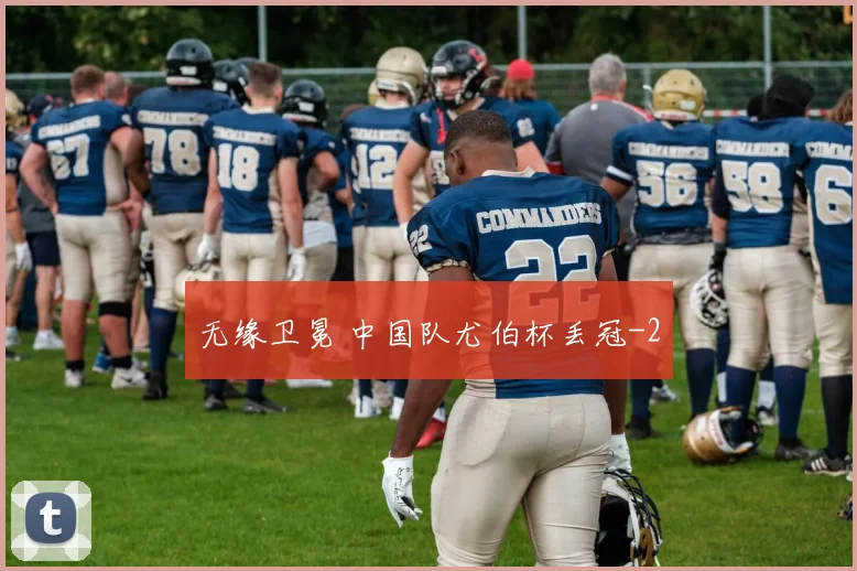 无缘卫冕 中国队尤伯杯丢冠