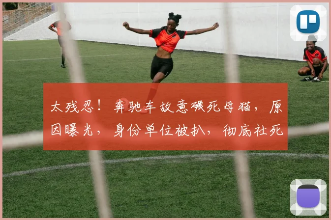 太残忍！奔驰车故意碾死母猫，原因曝光，身份单位被扒，彻底社死