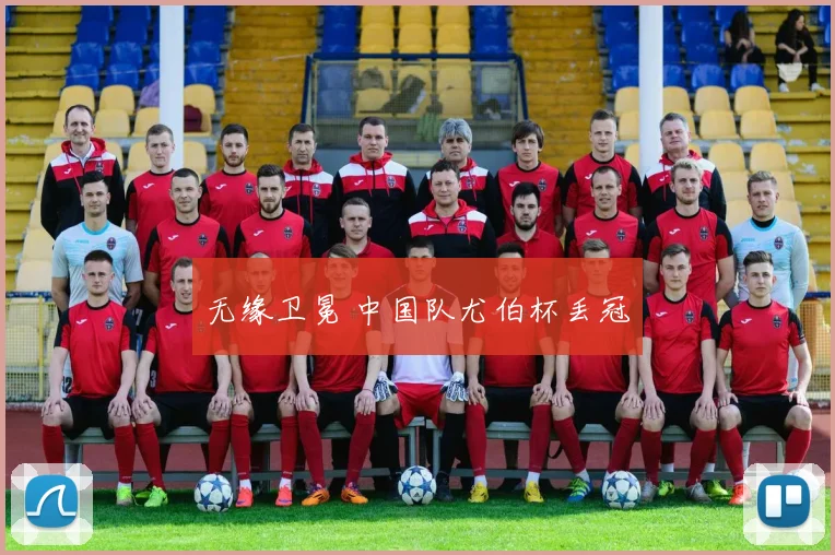无缘卫冕 中国队尤伯杯丢冠